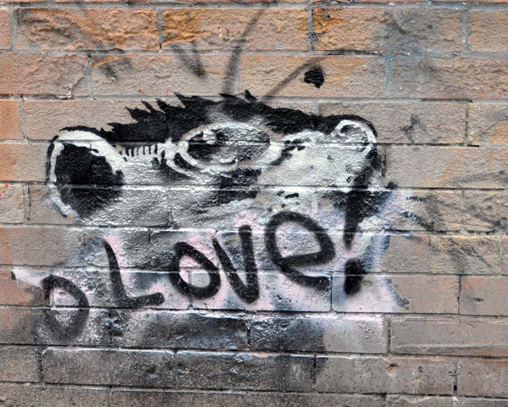Media News Banksy Vs The Gray Ghost In New Orleans