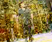 chiranjeevi+stalin+entry+scene.gif