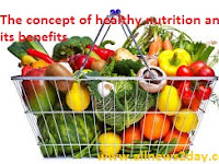 The concept of healthy nutrition and its benefits