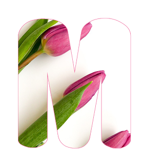 tulips-120961M3_960_720.png