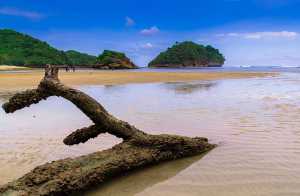 Pantai Clungup Malang-image pinterest
