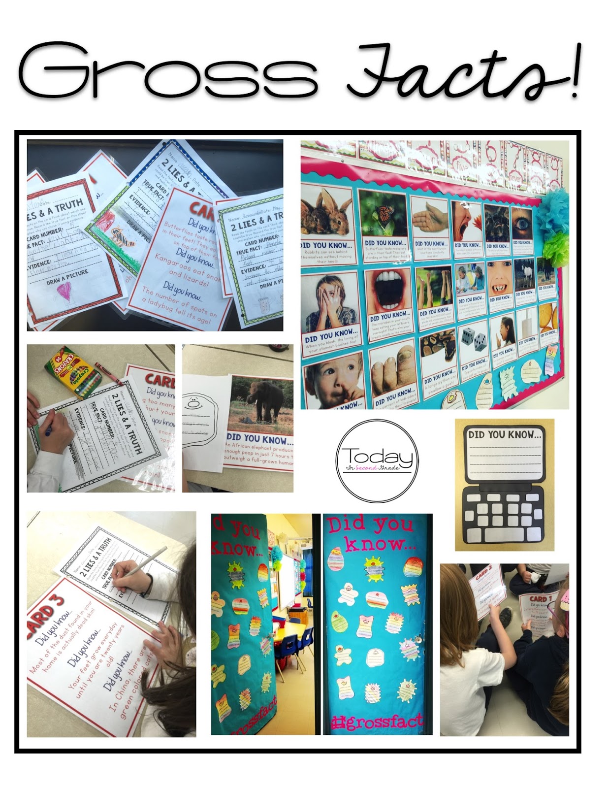 Gross Facts! - Today in Second Grade
