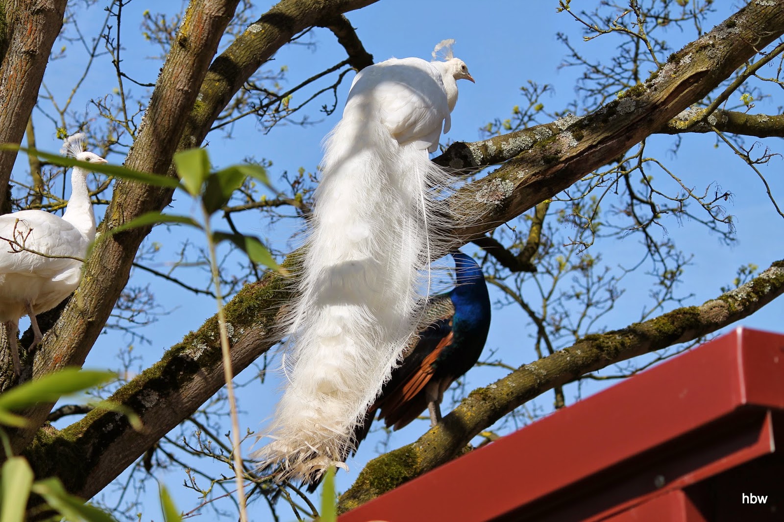 Bilder Welt Vivarium Darmstadt