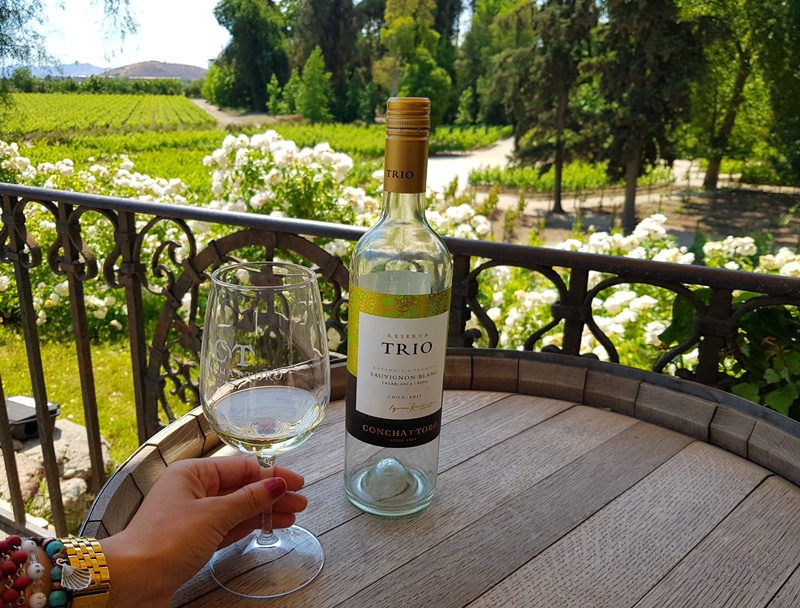 Tudo sobre a Visita guiada a Vinícola Concha y Toro Santiago Degustações de vinhos na Vinícola Concha y Toro