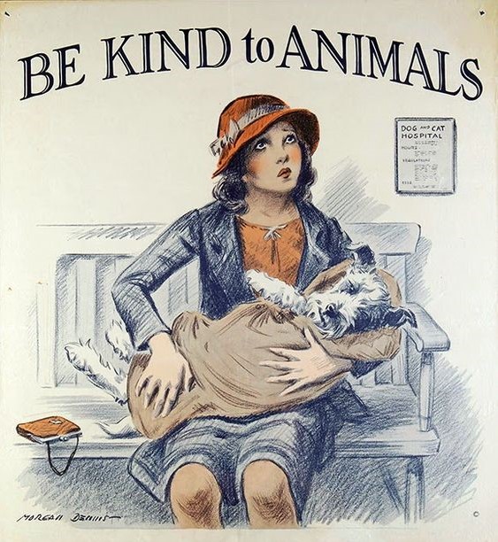Be kind to animals!