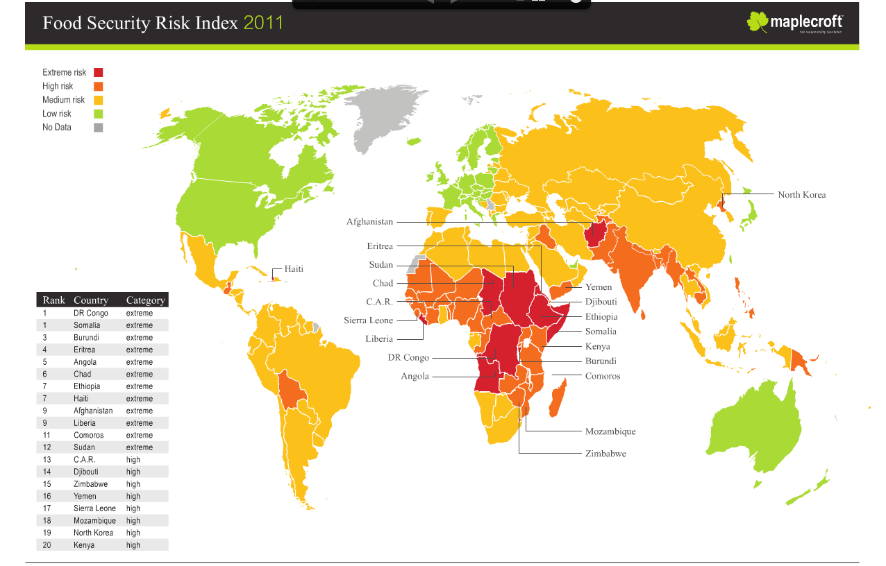 Регионы голода. Карта голода в мире. Карта продовольственнойтпроблемы. Голод в мире статистика.