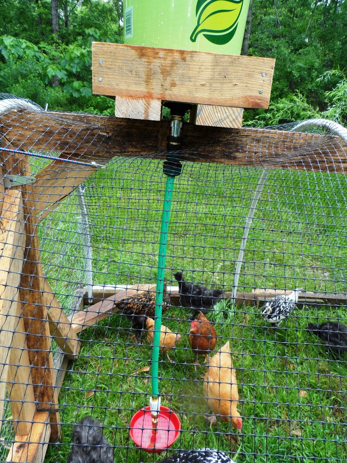 Sunflower Hill Homestead: PVC Hoop Chicken Tractors
