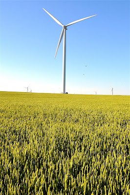 Wheat windmills