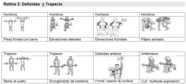 ejercicios de pretemporada para ciclismo