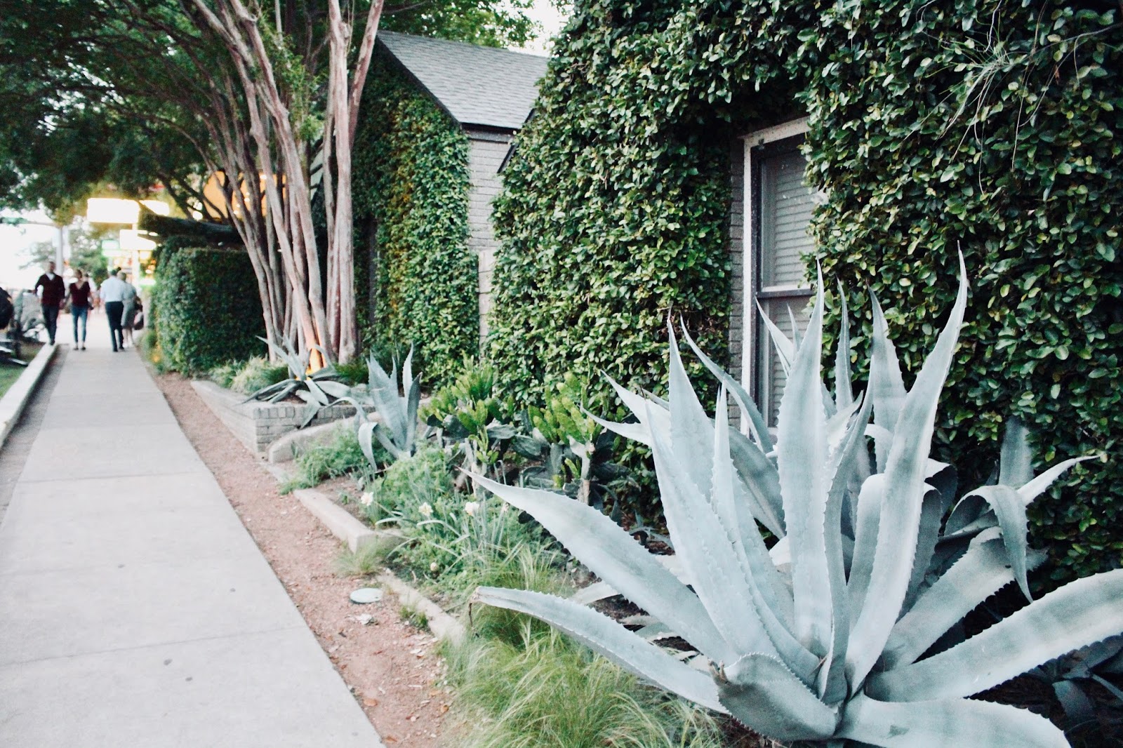 Texas | Austin City Guide