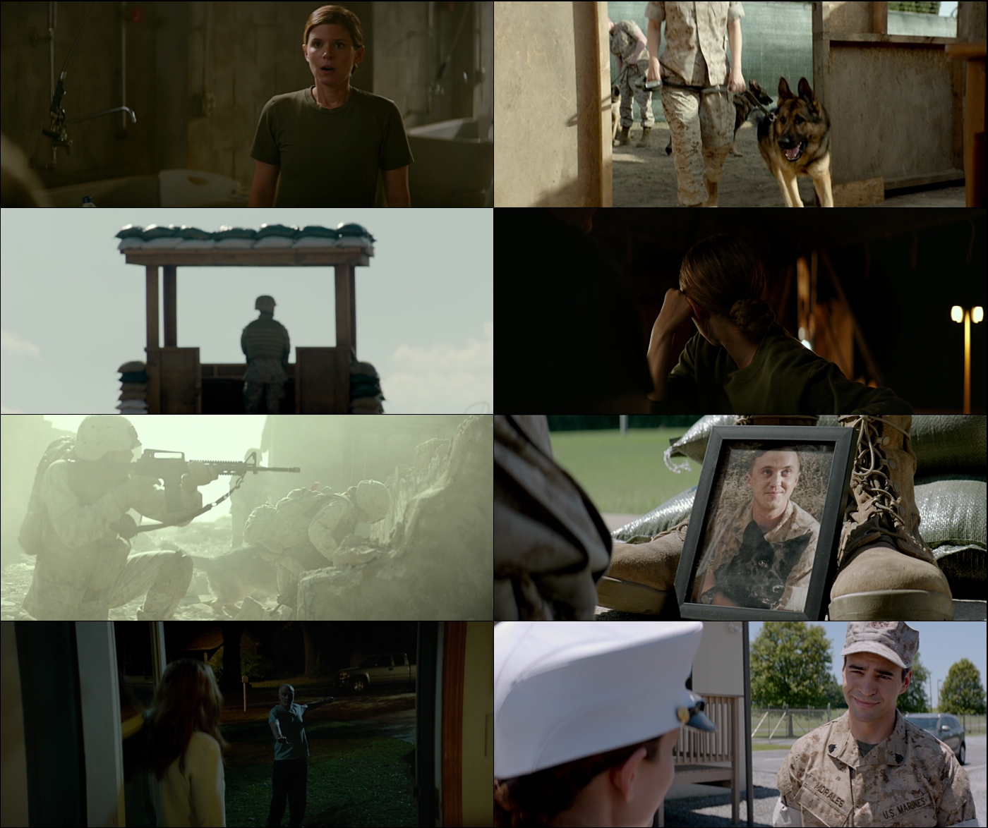 Megan Leavey 1080p Latino