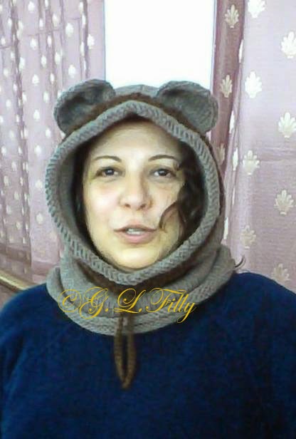 Illinois visual data 2