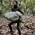 Hershey, Nestle and Mars Have Been Using Child Slaves to Make Your Chocolate. See For Yourself.