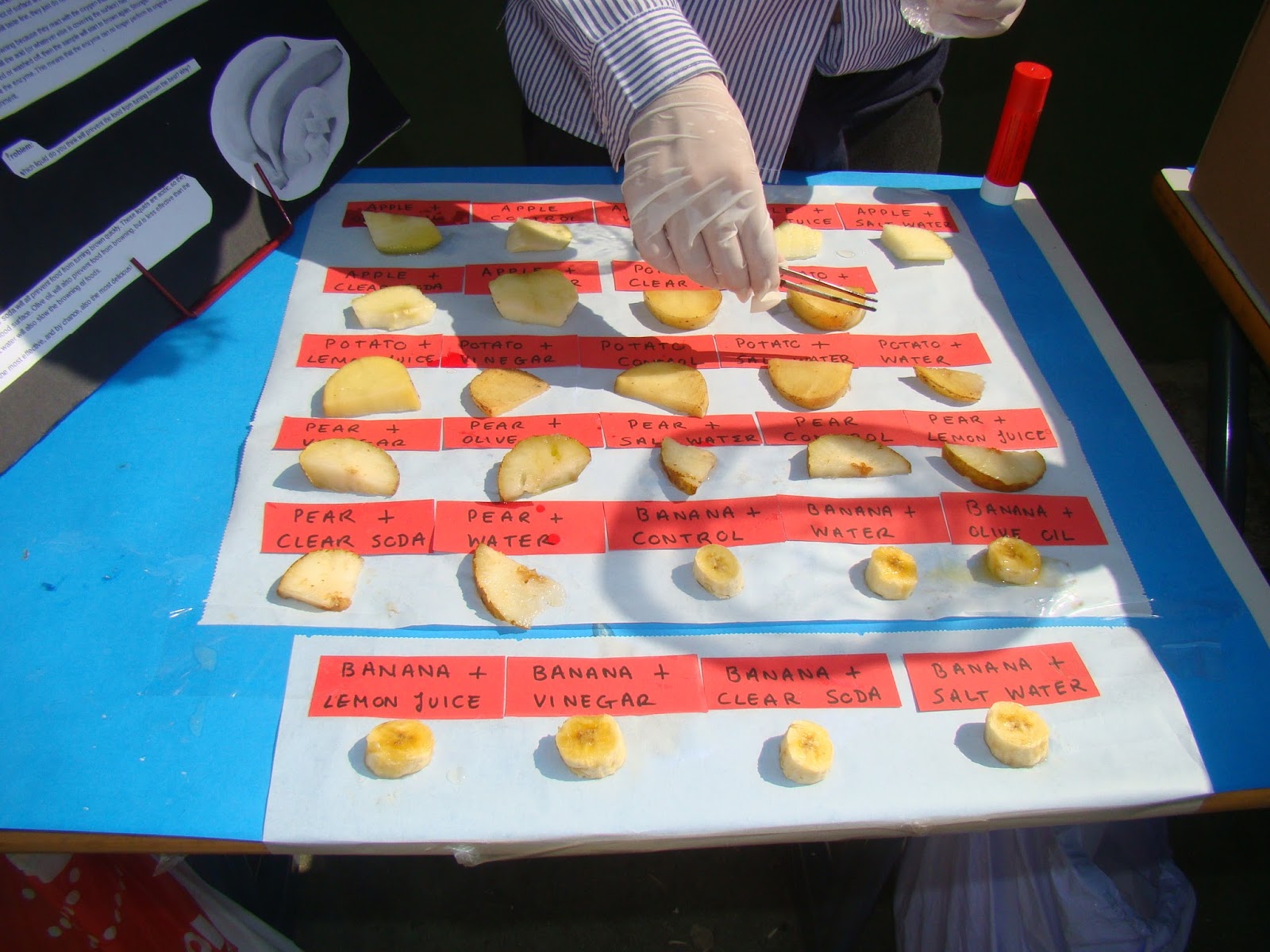 Science Magazine Fruit Oxidation Why do foods turn brown? Science