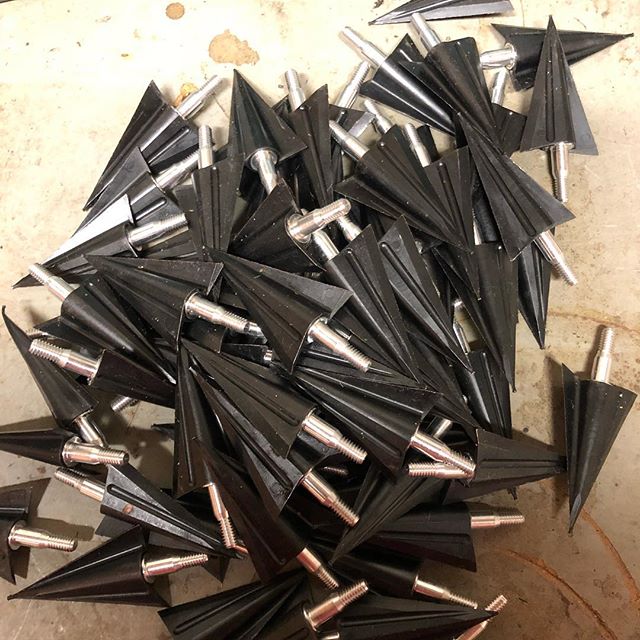 The Best Fixed Blade Broadheads Best Broadheads, Reviews and Buying