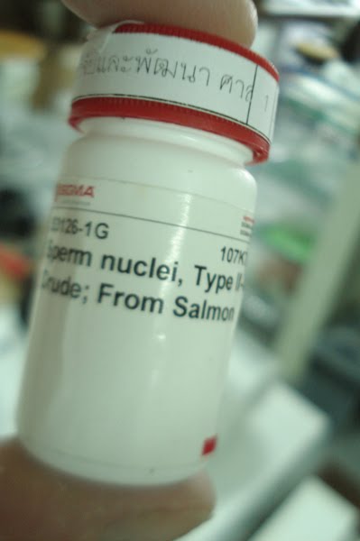 Msds for salmon sperm dna