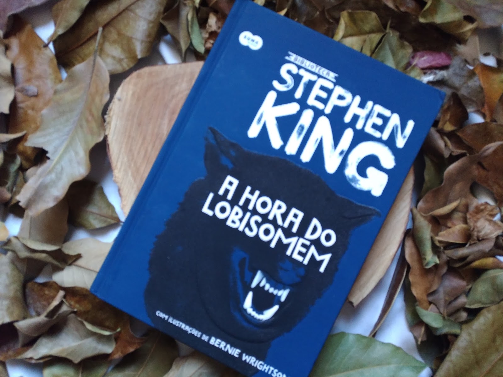 LIVRO: A HORA DO LOBISOMEM - STEPHEN KING RESENHA: A HORA DO LOBISOMEM - STEPHEN KING