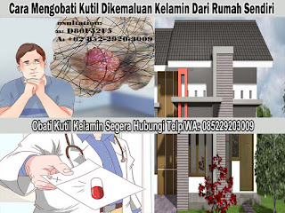 Obat Kutil Kelamin Obat Kutil Kelamin