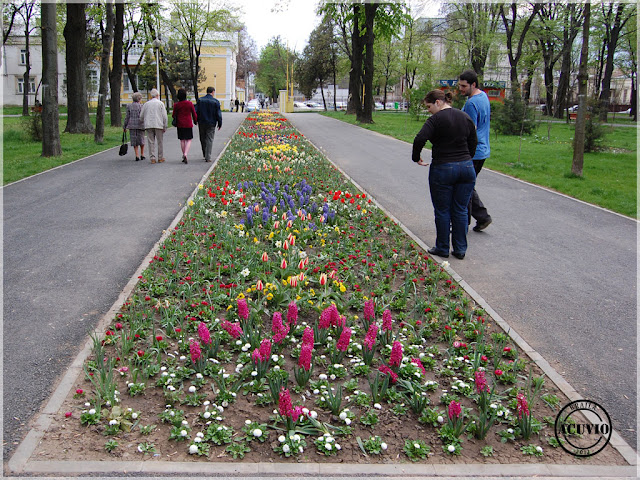 Brăila Grădina Mare Rond de flori