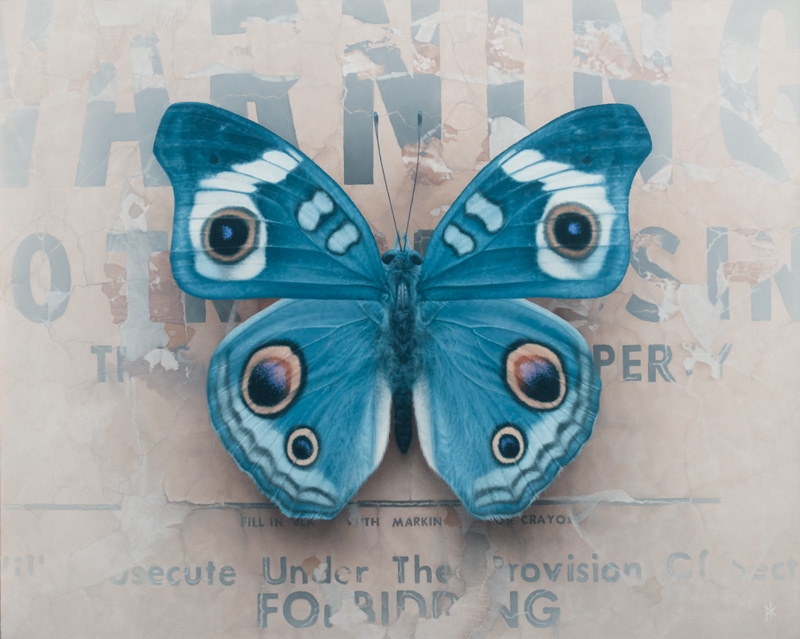 02-Butterfly-Patrick-Kramer-Paintings-of-Butterflies-Flowers-and-Birds-www-designstack-co