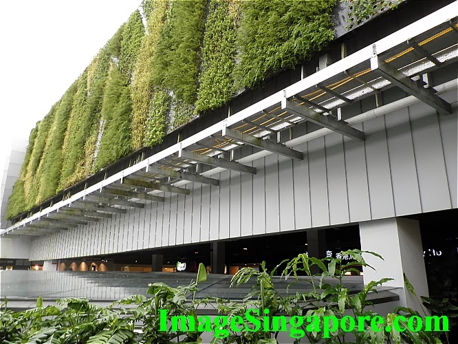 JohorBahruPhotos Tea Garden Restaurant at City Square Johor Bahru