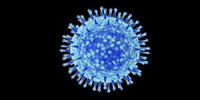 Pericolo influenza aviaria virus H7N9 colpisce