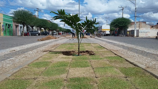 Resultado de imagem para IMAGEM PREFEITURA DE MACURURÃ BAHIA