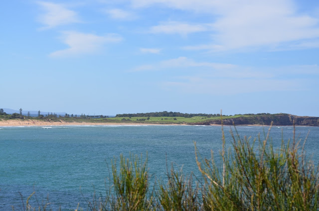 View of Dee Why beach from across the bay. Clifftop vegetation is in the foreground. The sandy beach and vegetated dunes are towards the left of the photograph. Moving towards the right, the beach ends as the coastline rises to become grass-topped rocky cliffs.