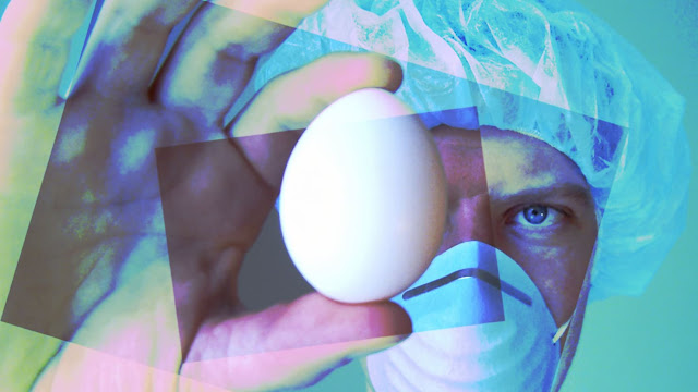 فك لغز استرجاع البيض المسلوق قد يحل شفرة علاج السرطان