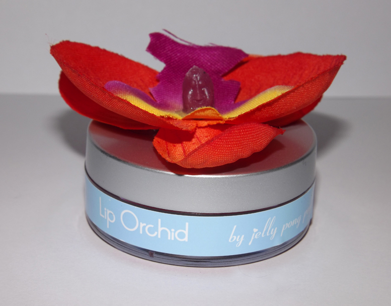 comment soigner orchidée malade