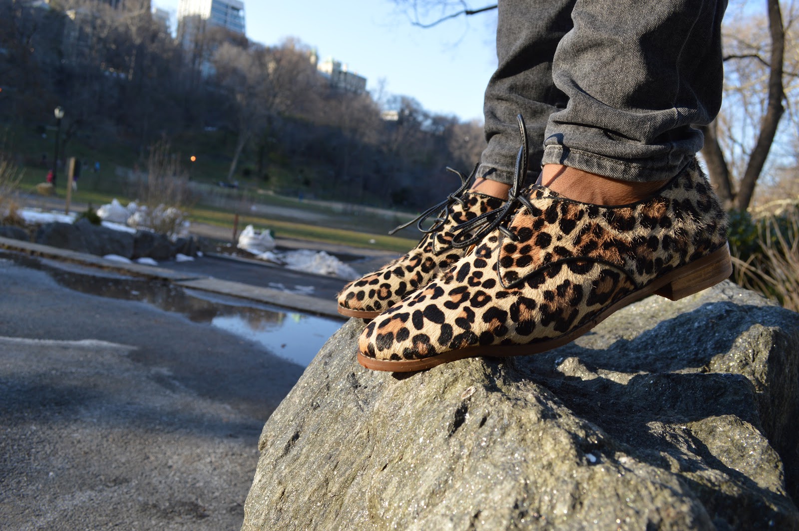 cheetah mens shoes