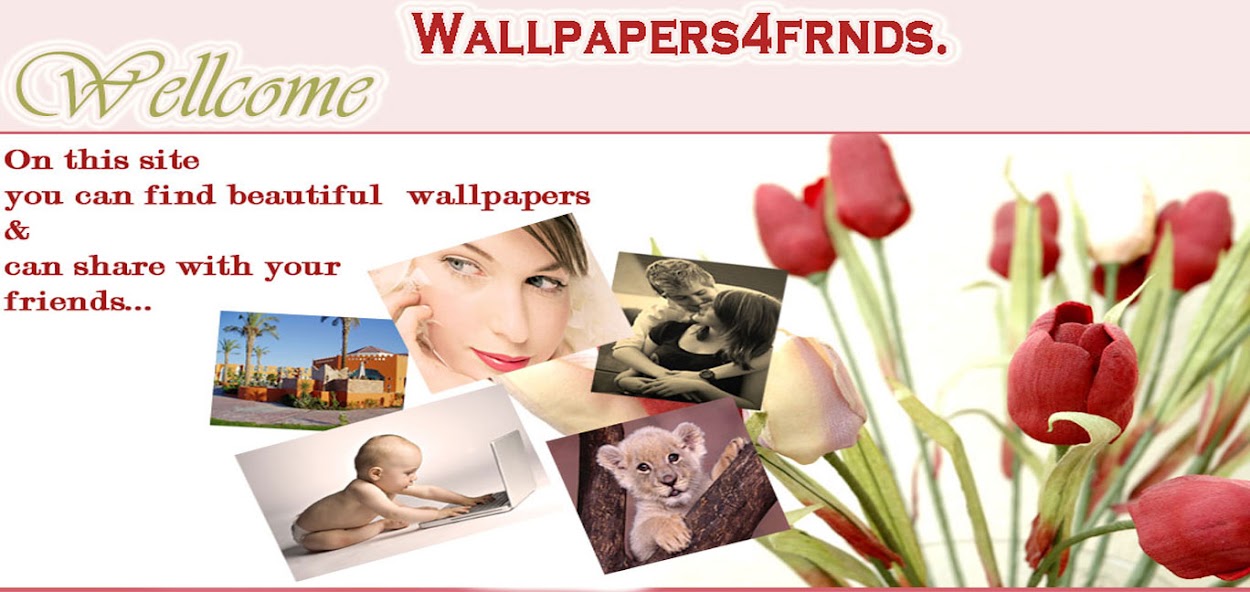 Wallpapers4frnds