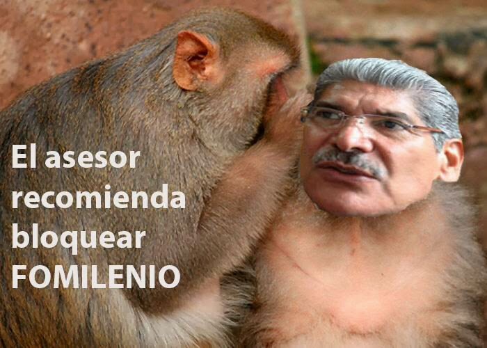 LA CAMPAÑA IRRACIONAL CONTRA EL FOMILENIO II