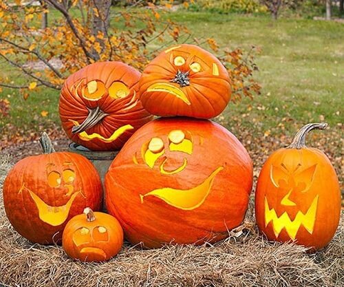 funny pumpkin carving patterns funny pumpkin carving patterns