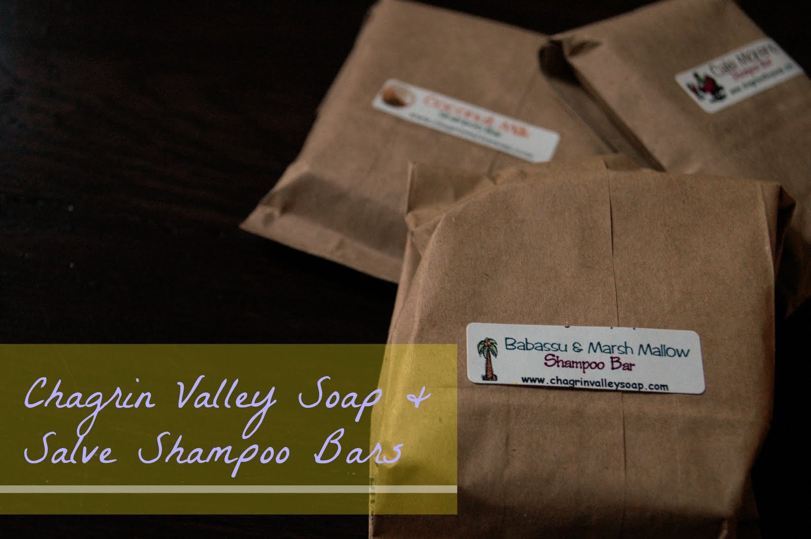 Backpacks And Belly Button Rings Chagrin Valley Shampoo Bars Review