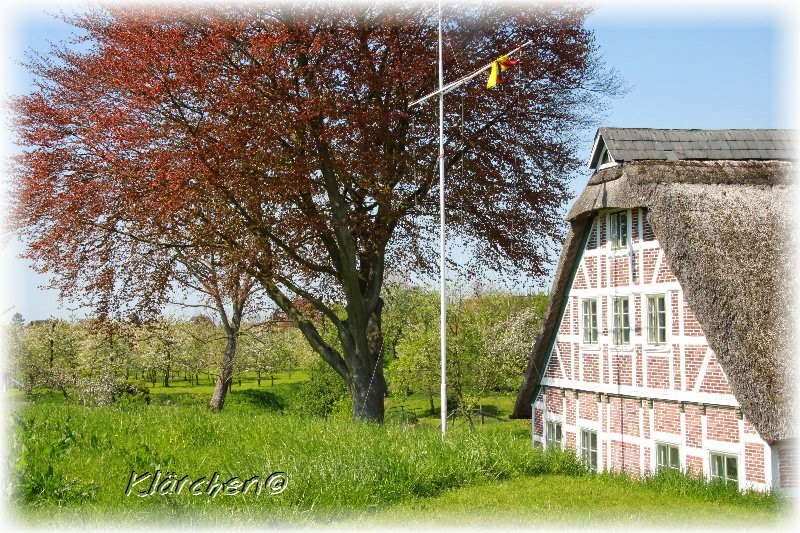 Klarchen S Binablurei Mai 2015