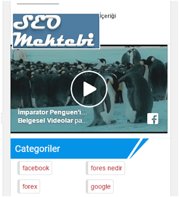 Blogger Sayfalarına Facebook Videolarını Ekleme Blogger Sayfalarına Facebook Videolarını Ekleme