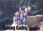 Gunung Gading, Sarawak.