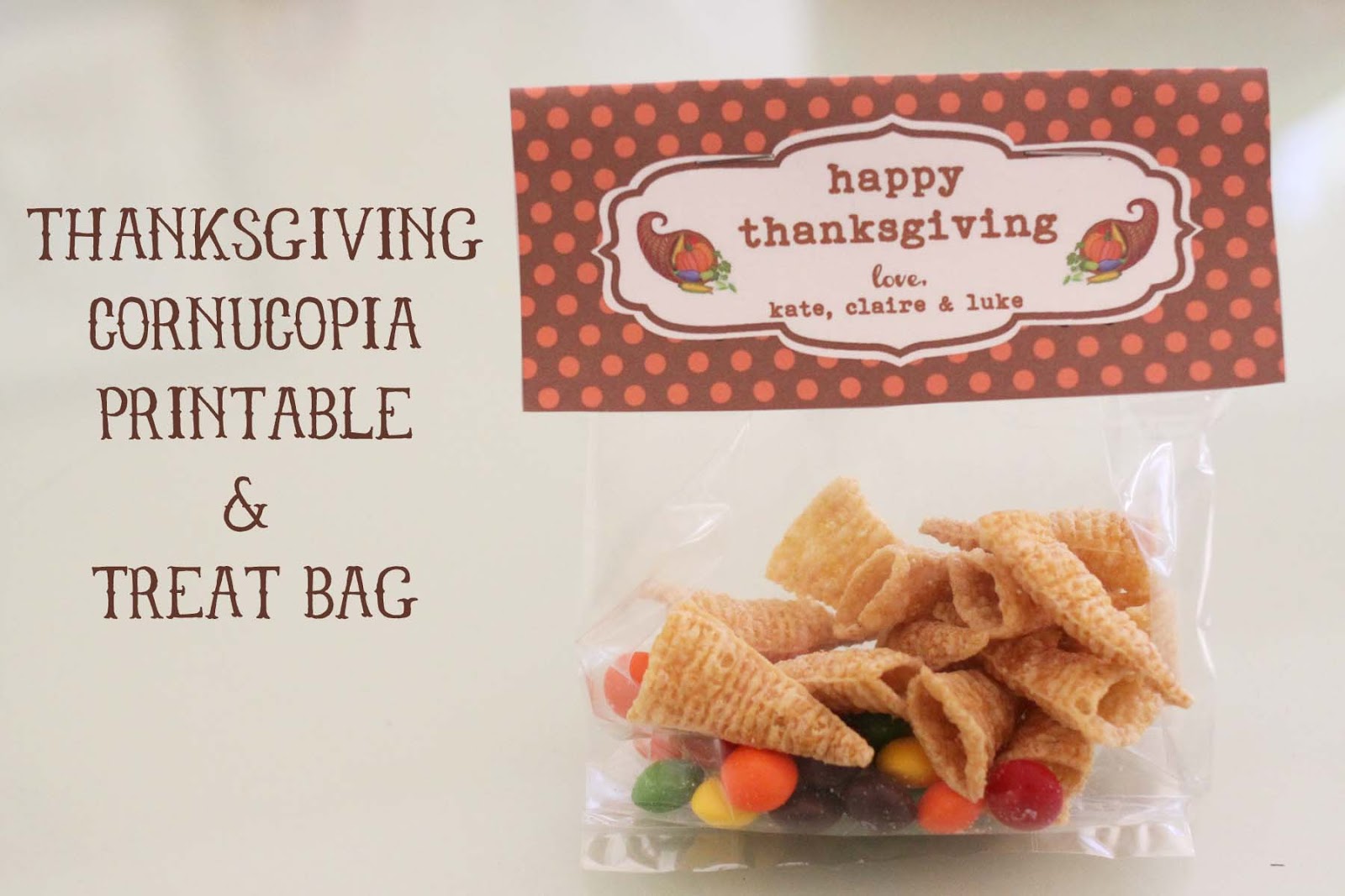 The Larson Lingo Thanksgiving Cornucopia Treat Bag + {Free Printable}