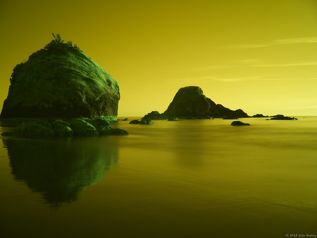 Mellow Yellow Mellow Yellow