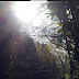 Review: Aviate Launcher