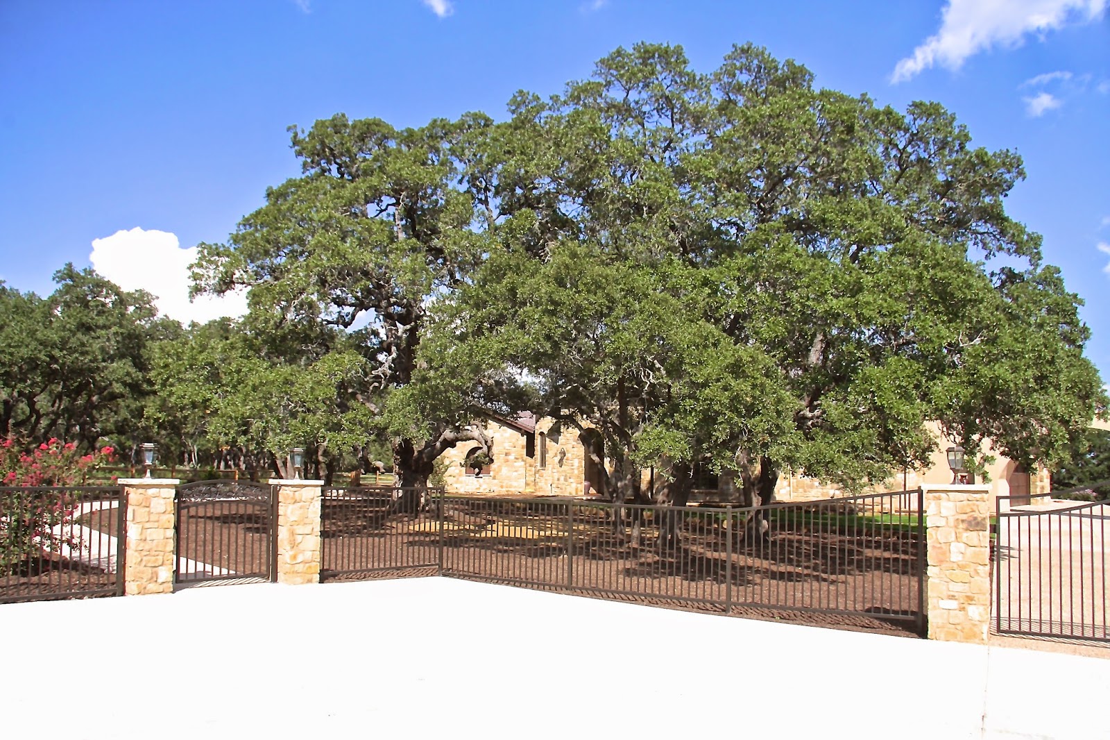 Circle B Ranch