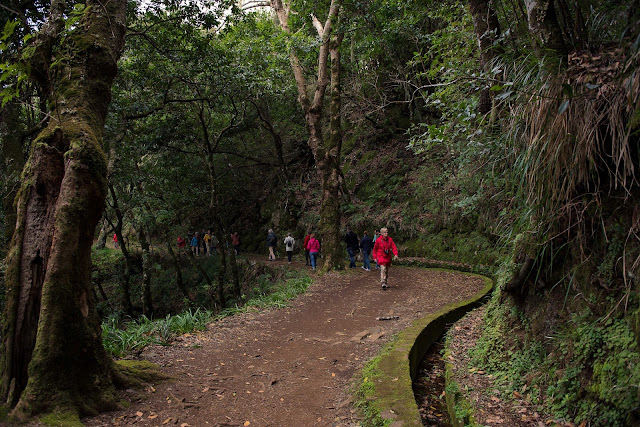 Blog Apaixonados por Viagens - Portugal - Europa - Verão - Ilha da Madeira