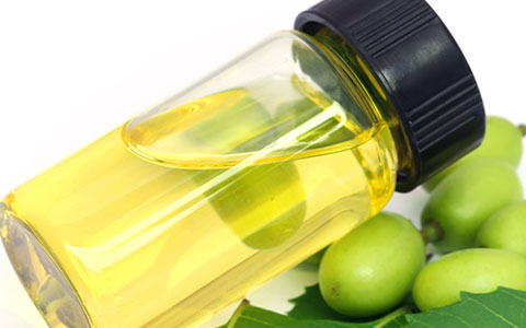 Anthracnose prevention with all natural neem oil