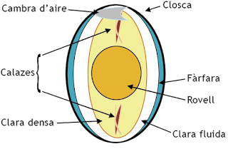 parts d'un ou