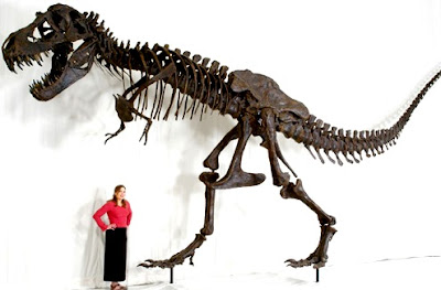 Tiranosaurio