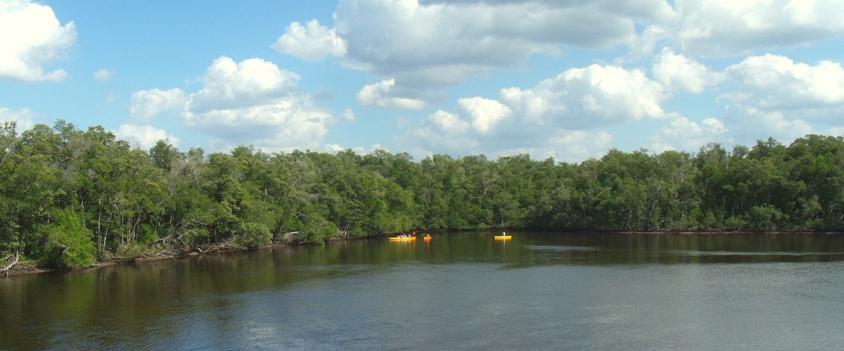 Ríos y lagunas en los everglades Jefferson Aleman