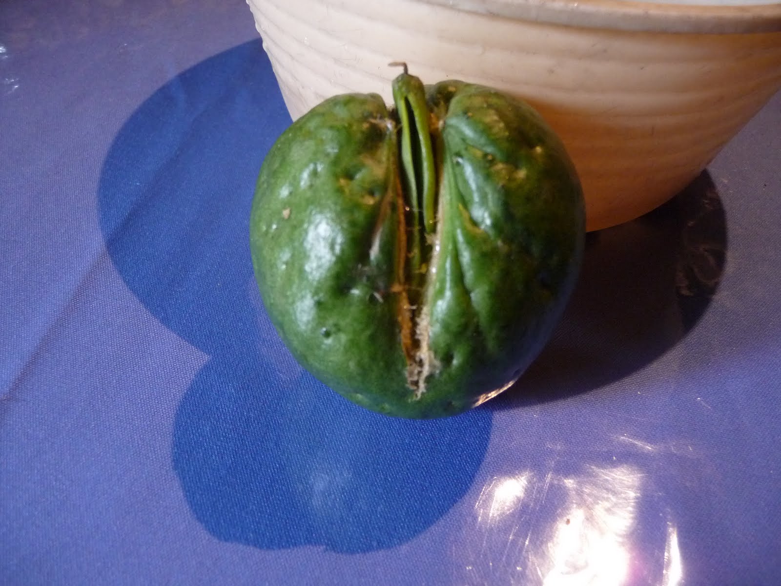 Como Se Dice Chayote En España