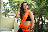Isha Chawla Latest Hot Photo Shoot in Saree HeyAndhra