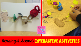 Speech Paths: Ears & Hearing: Interactive Activities